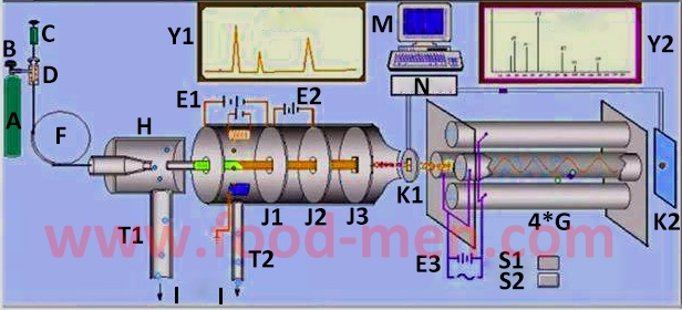 Cromatógrafo de gases-espectrómetro de masas 2