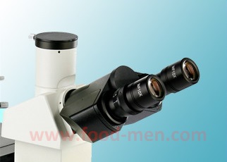 Imagen de oculares del microscopio biológico invertido XD-1