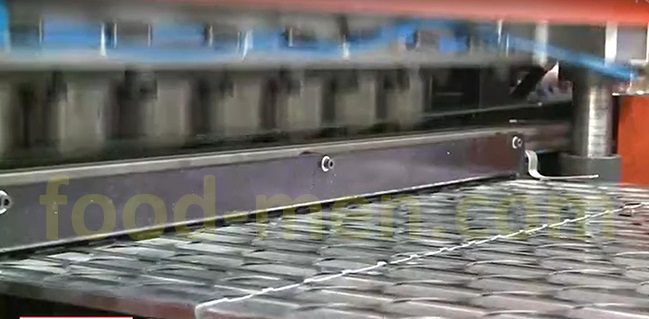 Figura 4 de línea de máquinas de fabricación de tapas de latas: Mecanismo automático de descarga de chatarras de hoja metálica